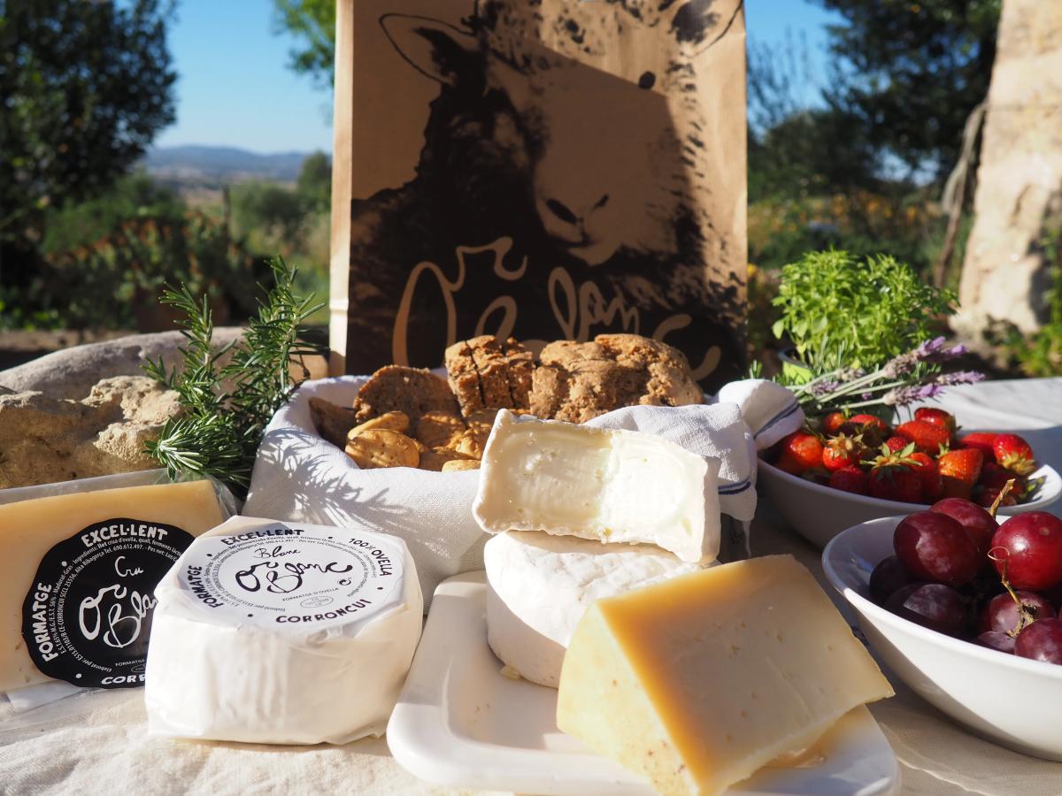 Exclusive Guide: The Sheep Cheeses of the Pyrenees