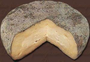 Aisy Cendré: The Rare Ash-Covered Burgundy Treasure