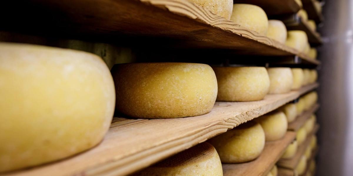 Bethmale Cheese: A Legendary French Mountain Cheese from the Pyrenees