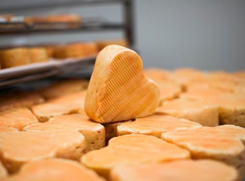 Coeur d'Arras: The Romantic Heart-Shaped Cheese from Northern France
