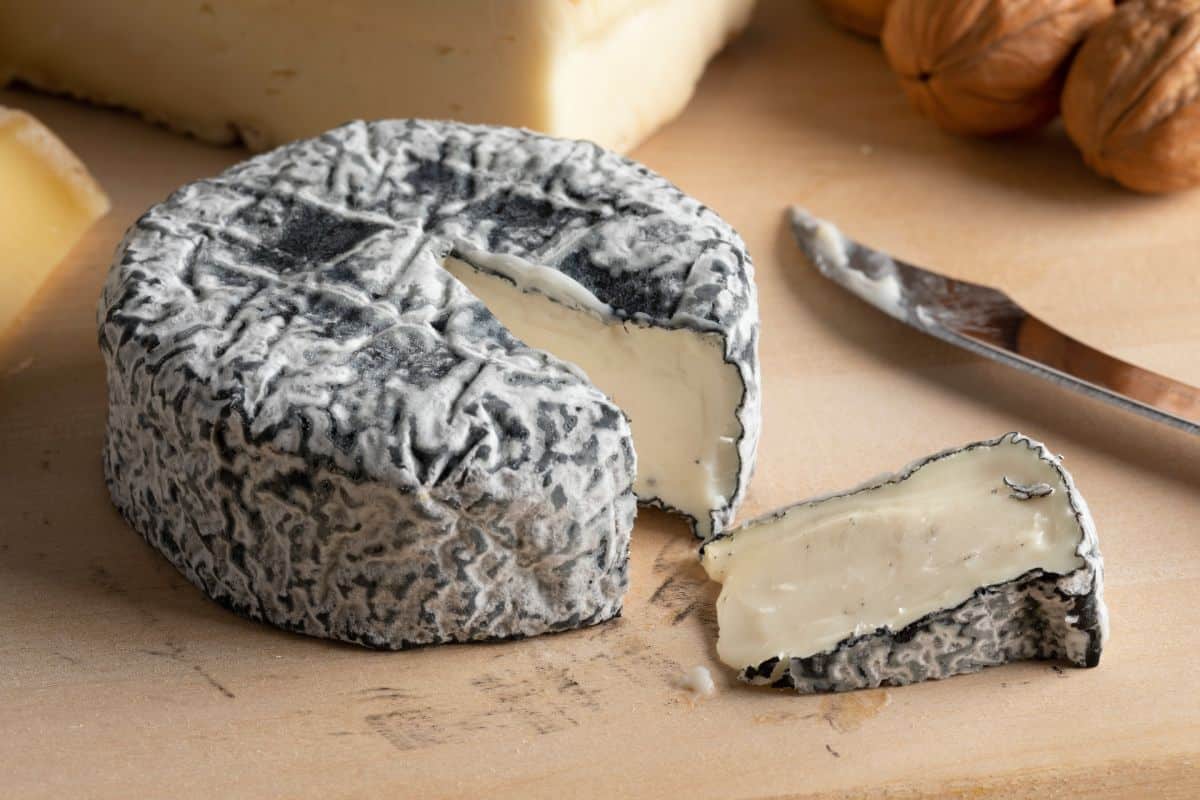 Selle-sur-Cher ash-coated cheese