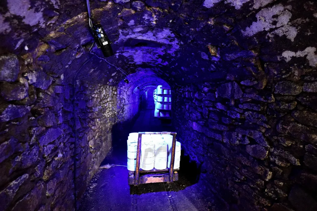 The Origins and History of Bleu de Laqueuille