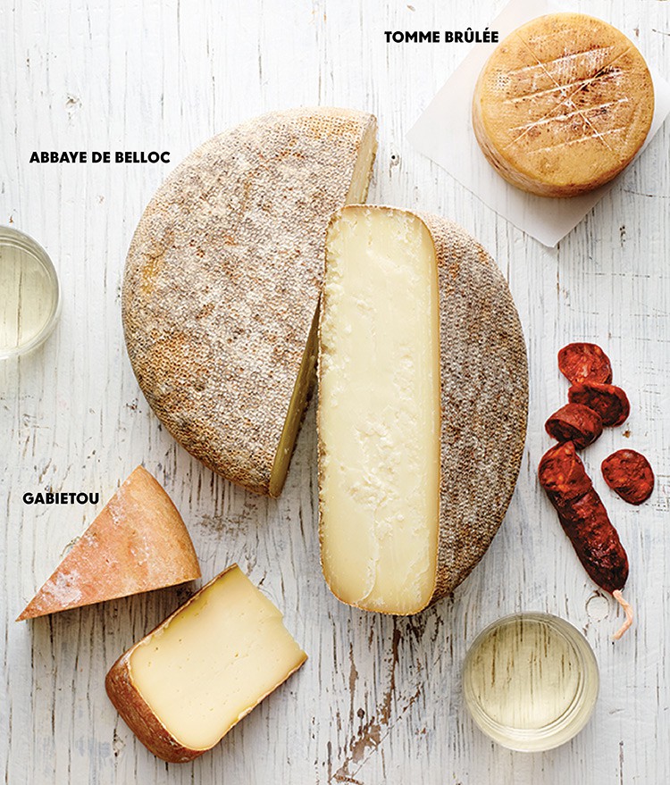 Must-Try Pyrenees Sheep Cheeses