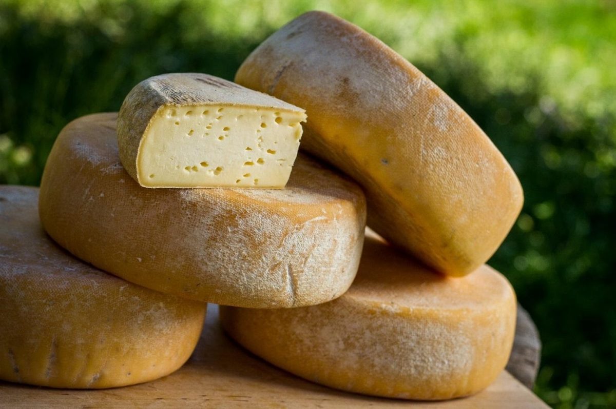 Bethmale Pyrenees Cheese tradition