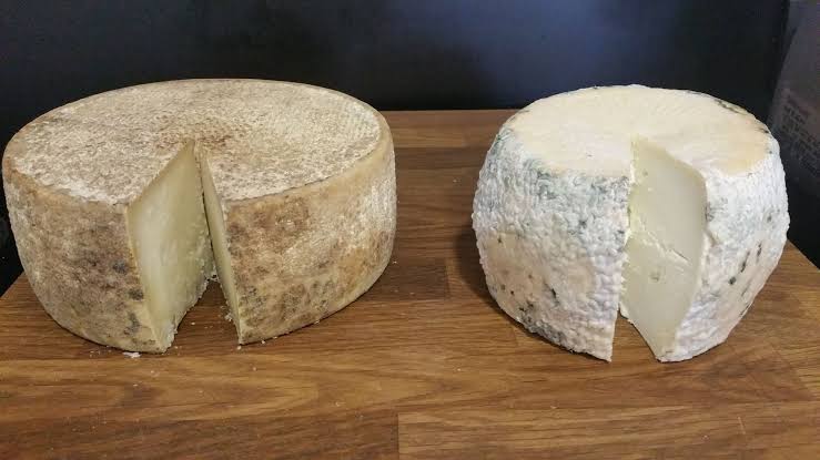 Comparing Texture and Flavor Profiles