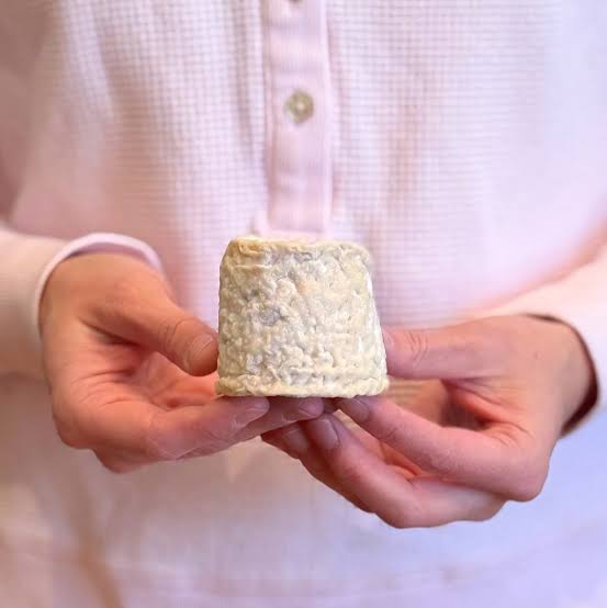 Chabichou du Poitou Taste Texture and Perfect Pairings