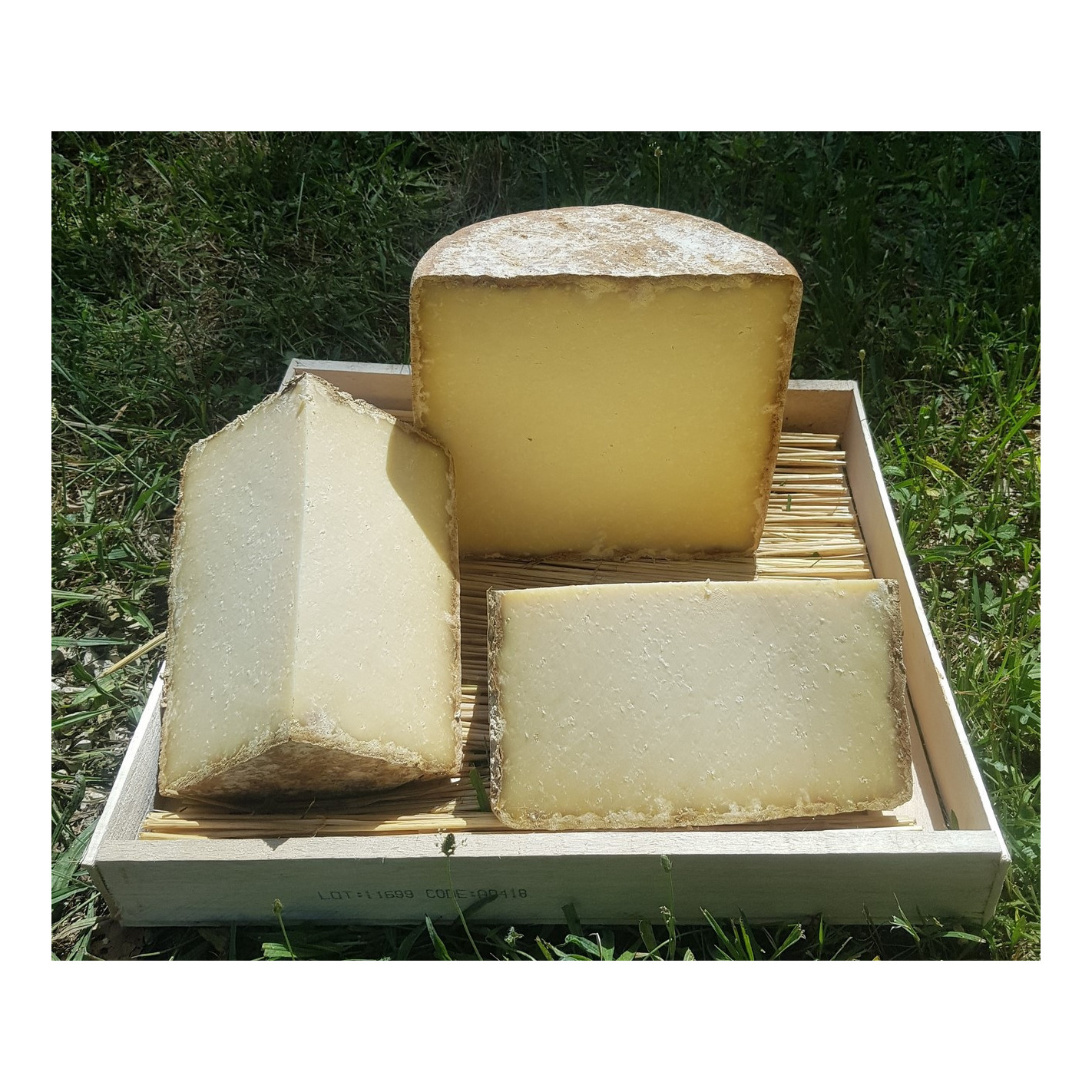 Rich History of Cantal Cheese