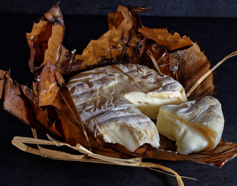 Savoring Banon Cheese