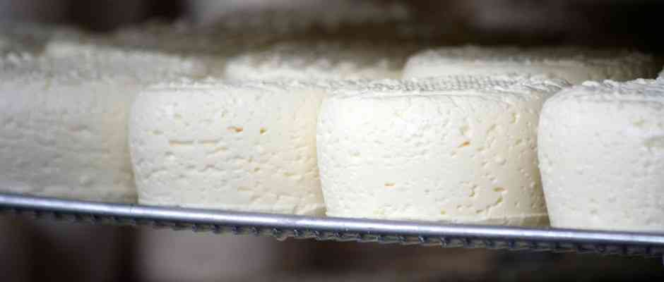 Corsican Cheese Production