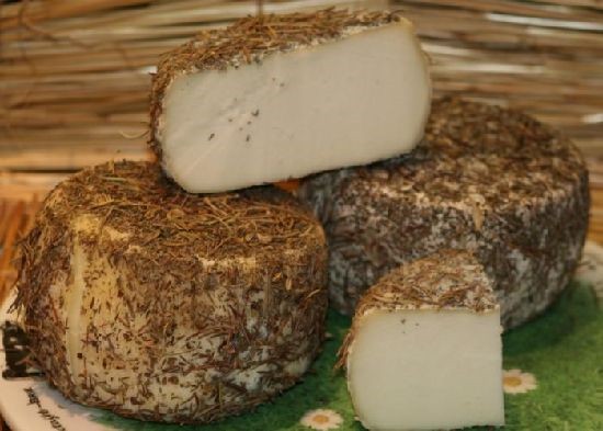 The Origins of Fleur du Maquis