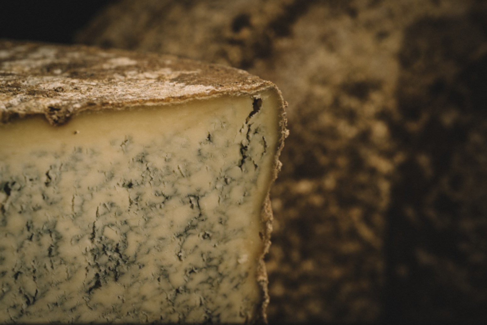 Bleu de Termignon texture