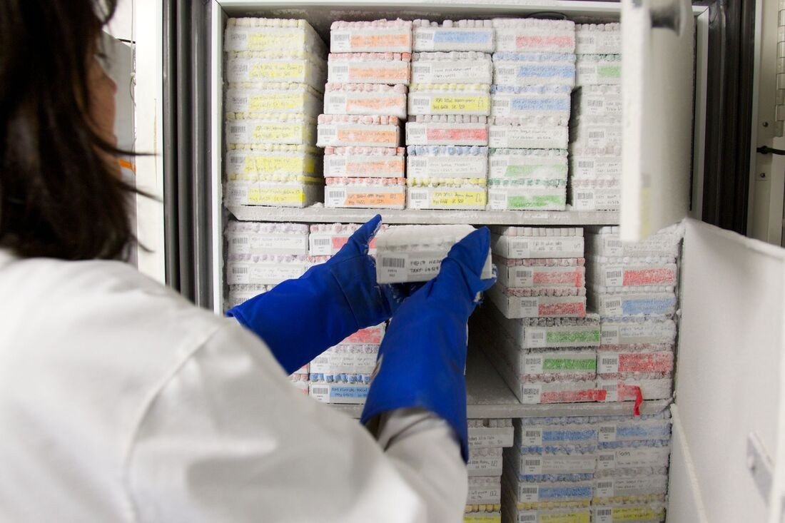 Best Lab Freezers for Medical and Research Use