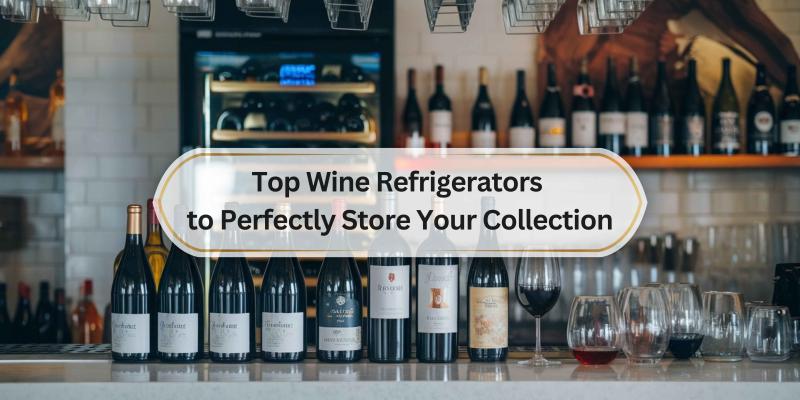 Find the Best Options to Keep Your Wine at the Ideal Temperature