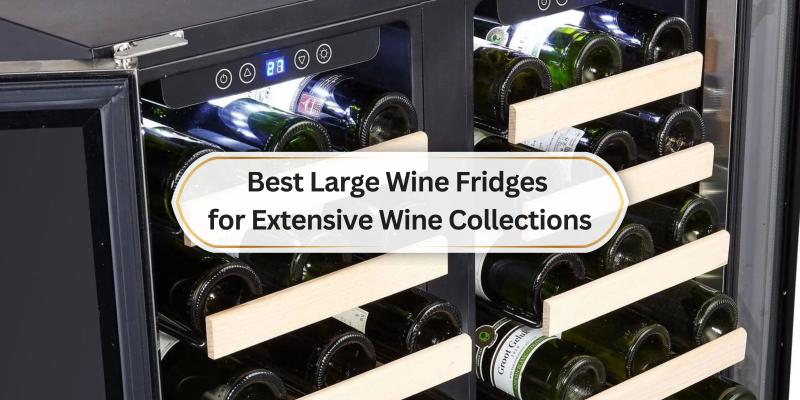 Discover the best ways to store your wine like a pro