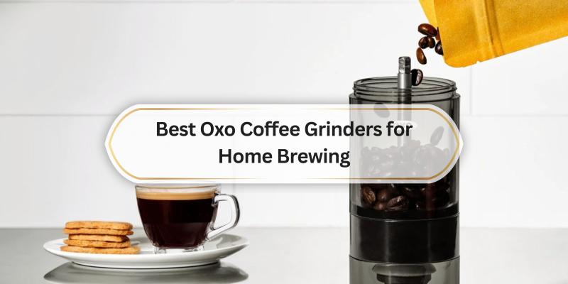 Discover the top picks for making the perfect cup at home