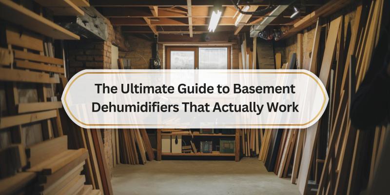 Your Go-To Source for Choosing the Best Dehumidifier for Your Basement