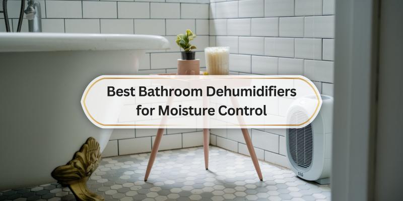 Top Picks for Keeping Your Bathroom Fresh and Dry
