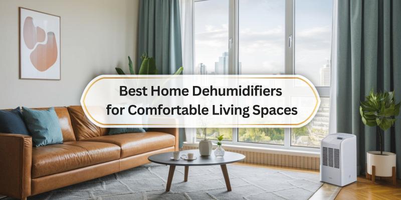 Find the Perfect Dehumidifier for a Cozy and Healthy Home