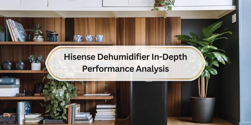 A Look at How the Hisense Dehumidifier Really Works and What It Can Do for You
