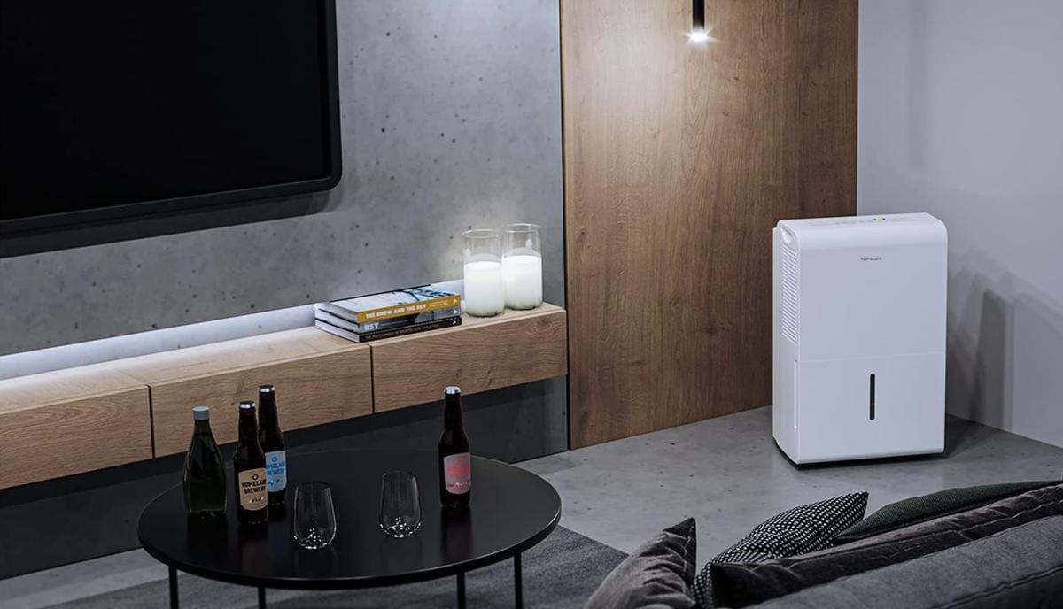 Homelabs Dehumidifiers: Perfect Solutions for Every Room