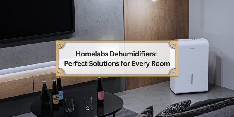 Find the Right Fit for Your Home's Humidity Issues