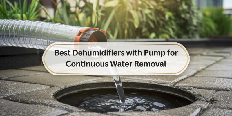 Top Picks for Effortless Moisture Control and Convenience