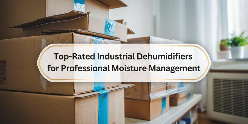 Discover the Best Options for Controlling Humidity in Your Workspace
