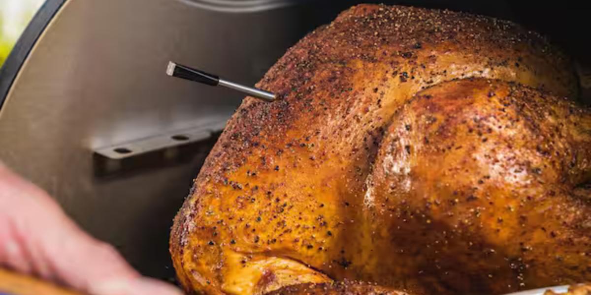 Comprehensive Review of Meater Wireless Meat Thermometers