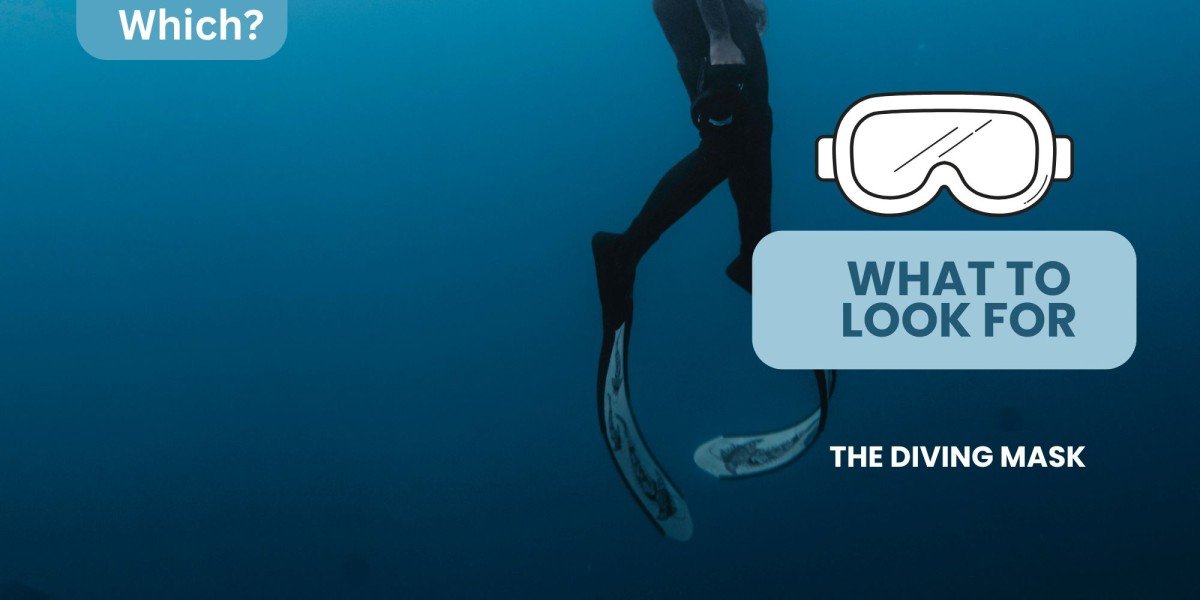 Mastering the Dive: Choosing the Best Mask