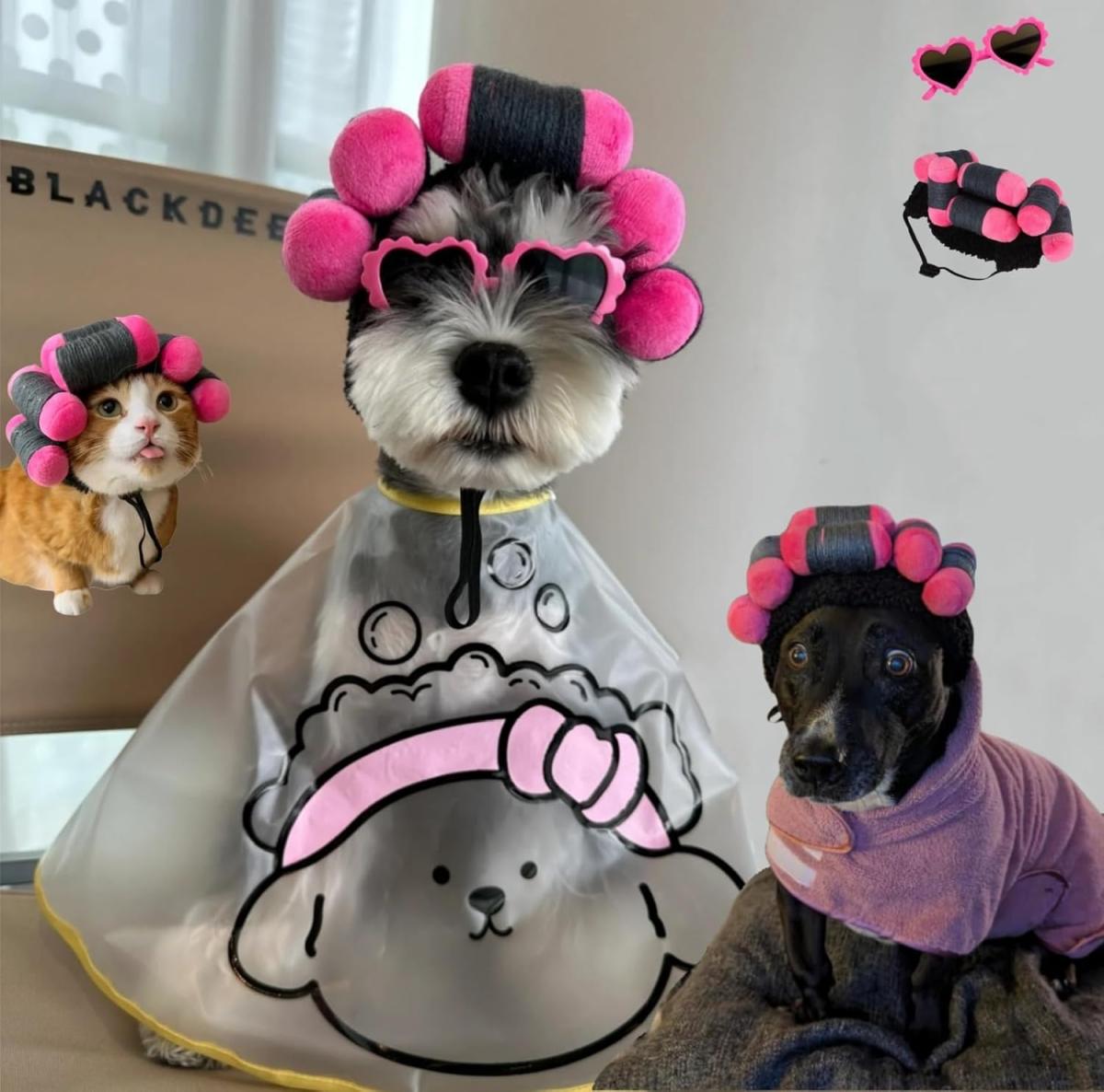 Hilarious Ideas for Funny Pet Costumes
