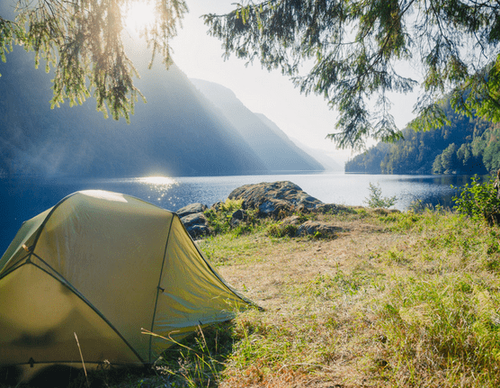 What to Look for in a Campsite: Safety and Comfort Tips
