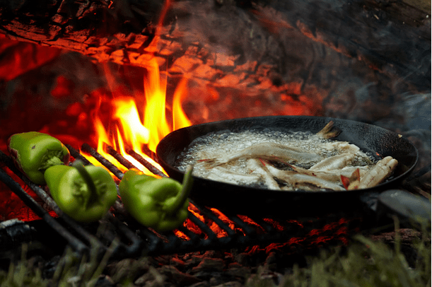 Beginners Guide to Campfire Cooking: Essential Tips for Outdoor Chefs