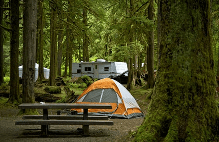 Best Multi-tool for Camping: Essential Gear for Every Outdoor Adventure