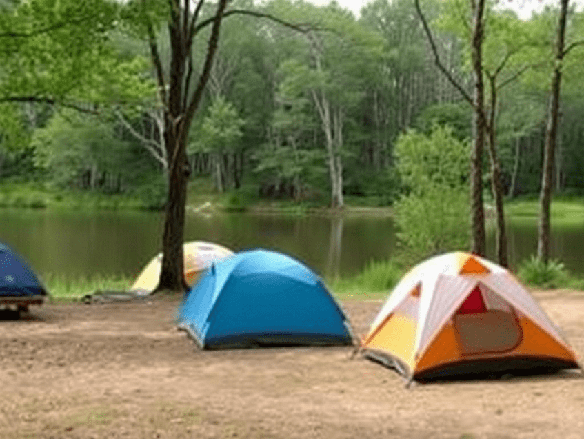 Best Budget-Friendly Campgrounds in Delaware