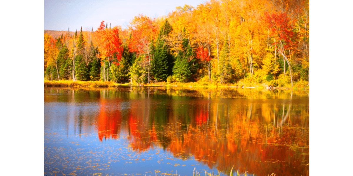 What is the Best Camp Sites in Vermont
