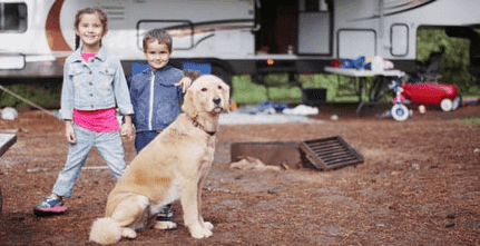 Essential Tips for a Successful Outdoor Experience