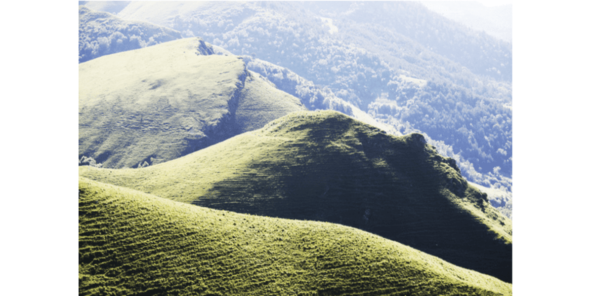 A Guide to Camping in the Green Mountain National Forest