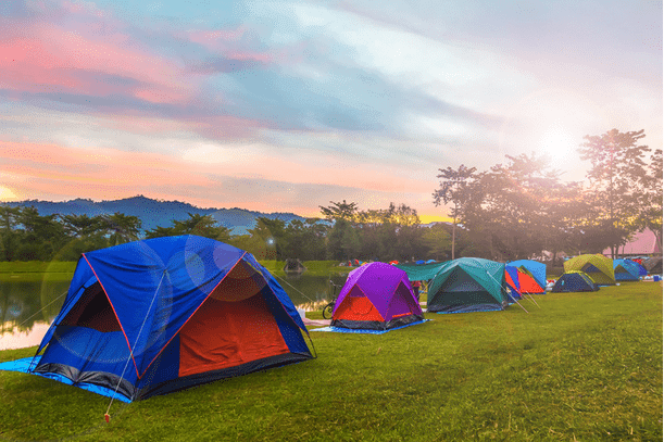 Find Your Perfect Camp Companion for Relaxation and Adventure