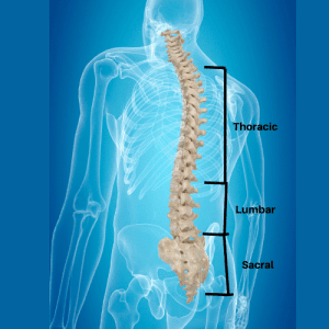 Understanding the effectiveness of TLSO back braces in treating various conditions for enhanced spinal support