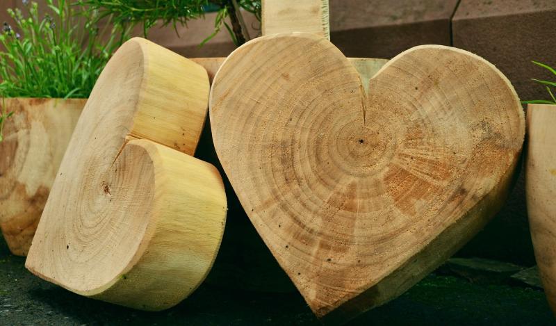 Fun and Creative Ways to Get Started with Woodworking