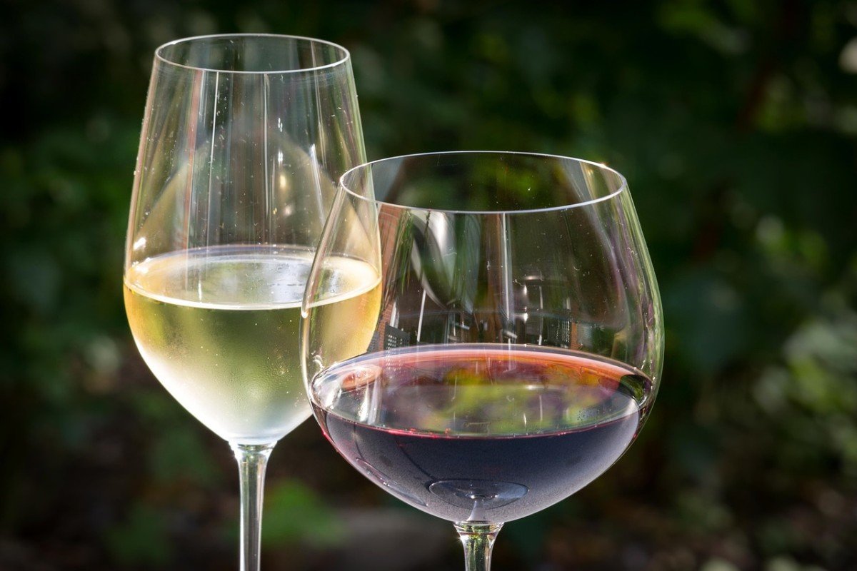 Explore Various Types of Wine Today