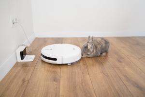 Everything You Need to Know to Choose the Perfect Robot Vacuum for Your Home