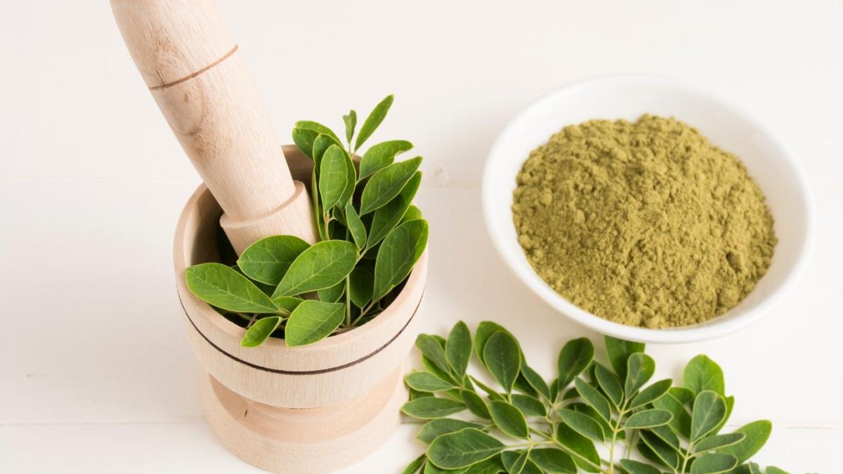 Moringa Is Your Secret Weapon for Health