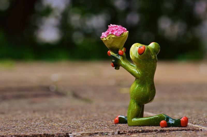 Discover simple steps to identify and nurture your unique talents