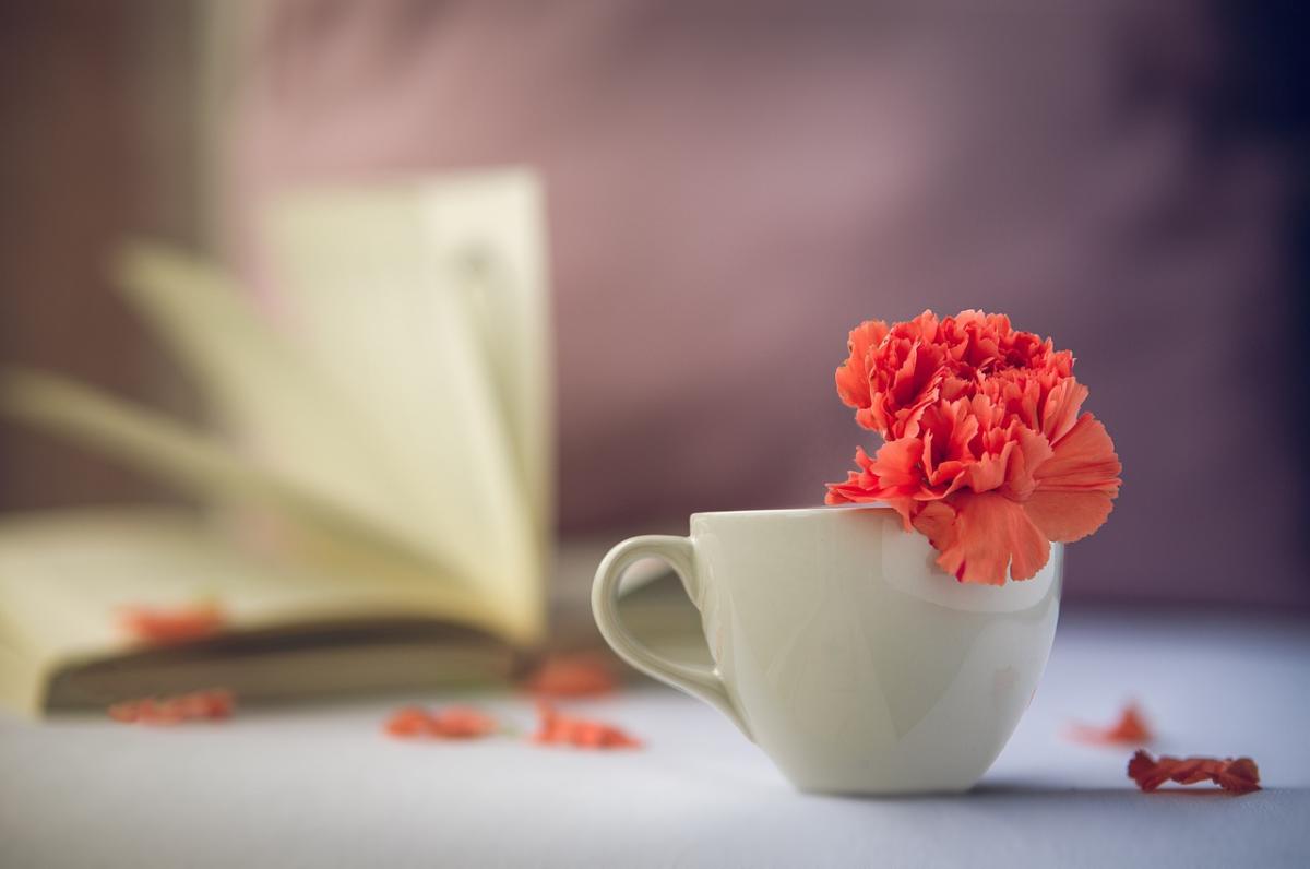 Unleashing Your Potential: Understanding and Embracing Your Giftedness