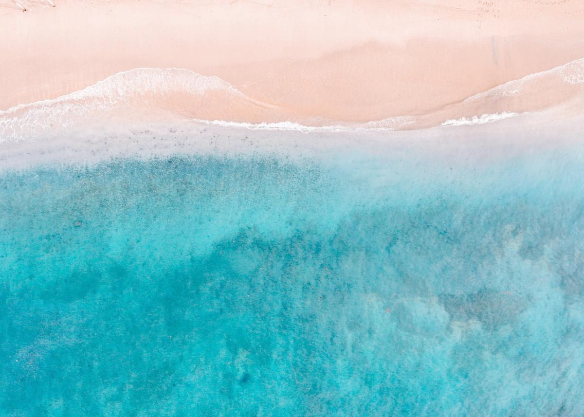 Unleash the Power of Gratitude: Finding Joy in All That You Have