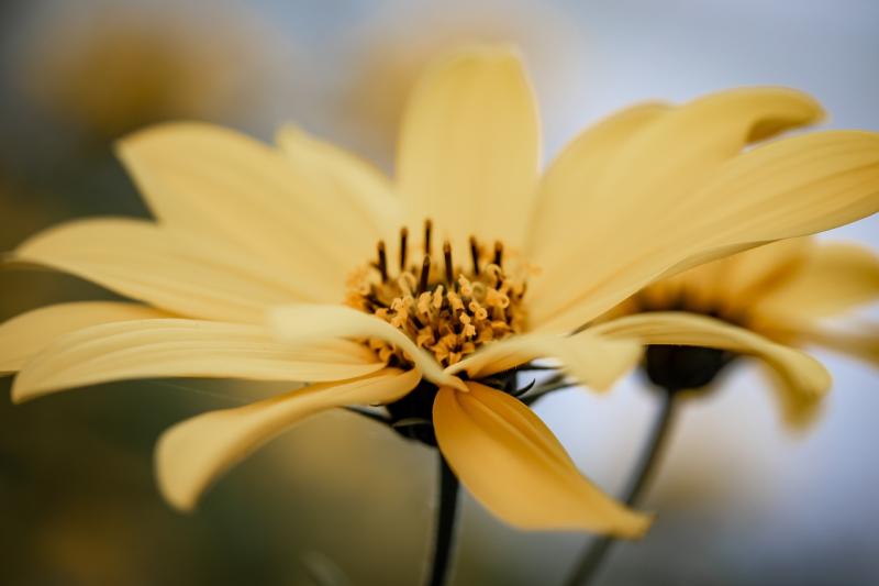 Discovering joy and growth in everyday life