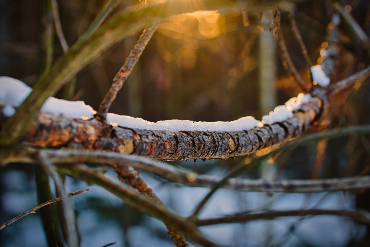 Even When Alone, I Am Whole: Cultivating Self-Sufficiency and Inner Peace
