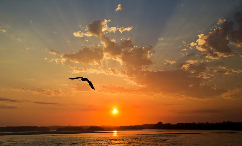 Finding joy and peace in every moment