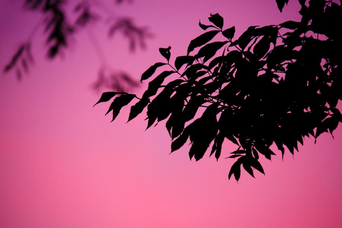 Finding Freedom: How Letting Go Sets Your Heart Free